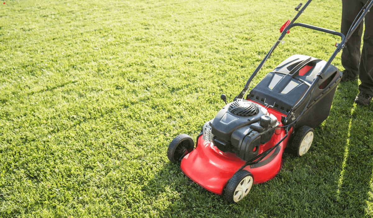 Mantenimiento de áreas verdes